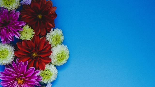 明星球员 明星球员