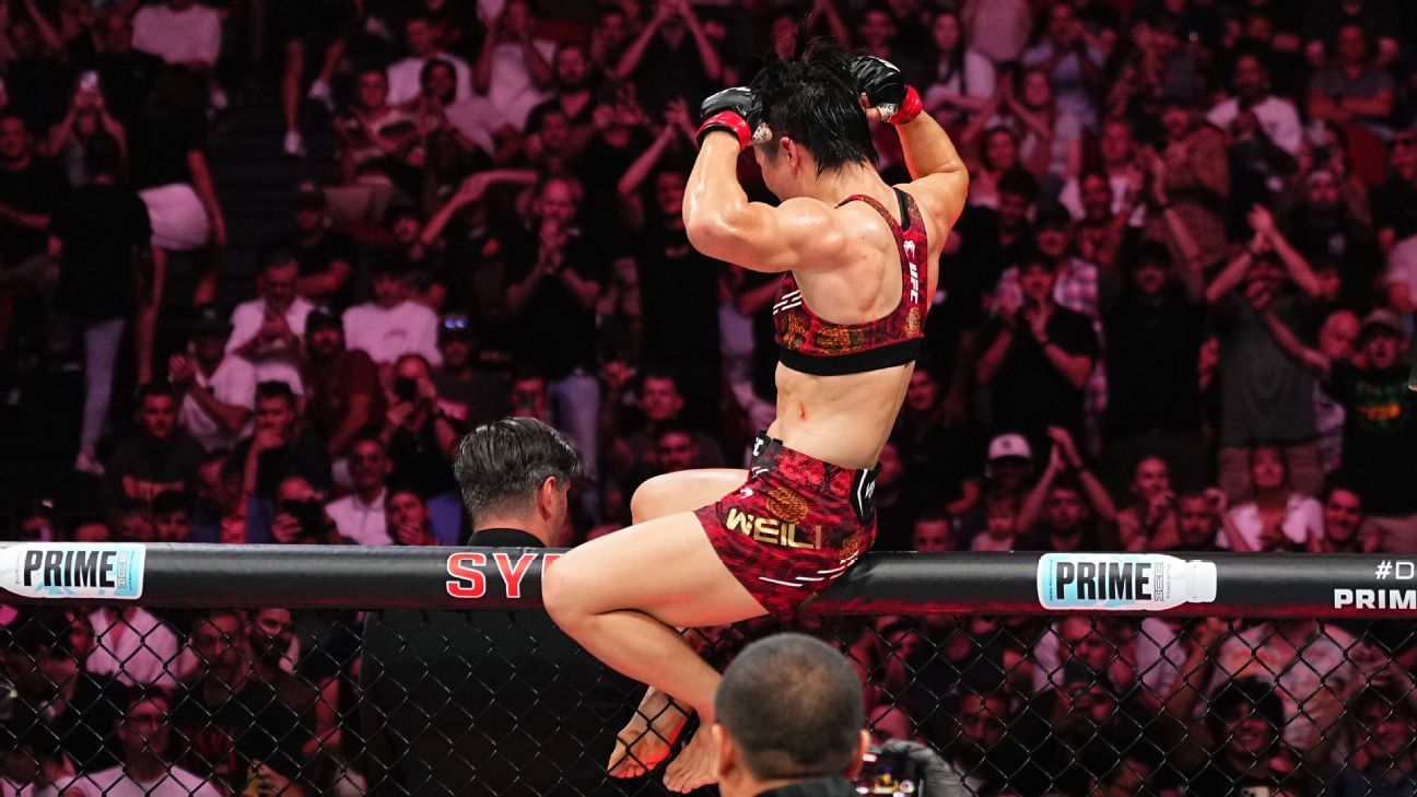 菲尔米诺的 菲尔米诺的