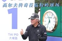 竞争力明显